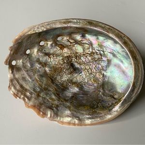 Vintage Abalone Dish Natural Sea Shell 7” X 5.25” Rainbow Iridescent Beach Ocean